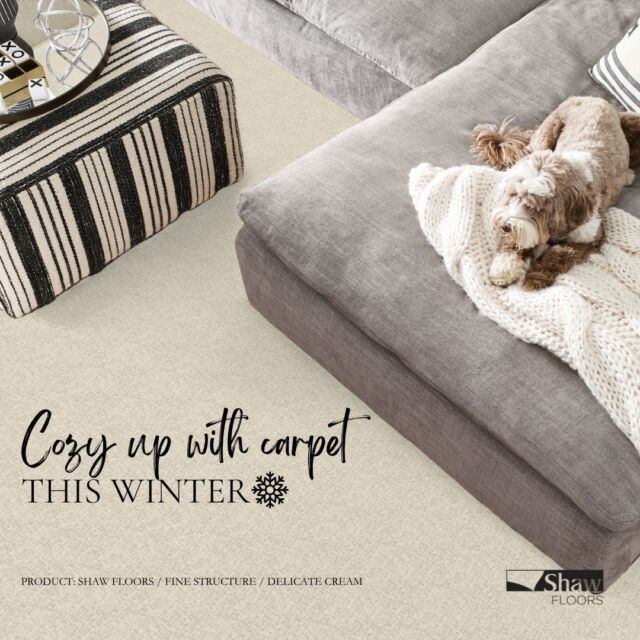 Cozy up and stay warm this winter with the comfort of carpet! ❄️✨ Soft, stylish, and inviting—carpet is the perfect addition to your home this season. 🏡 

#CozyCarpet #WinterVibes #HomeComfort